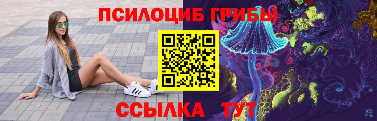 Галлюциногенные грибы Cubensis Новочеркасск