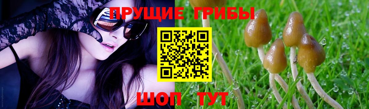 Новочеркасск  Псилоцибиновые грибы MAGIC MUSHROOMS  цены наркотик  Вход с VPN 